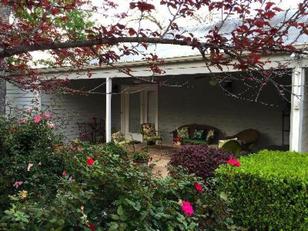 Comal Inn New Braunfels Δωμάτιο φωτογραφία